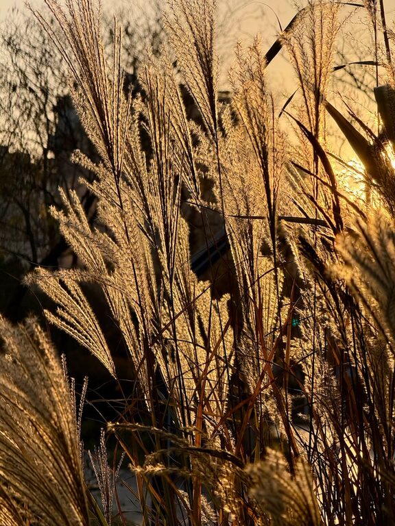 Yeni Başlayanlar İçin Bilinçli Nefes Molası İpuçları